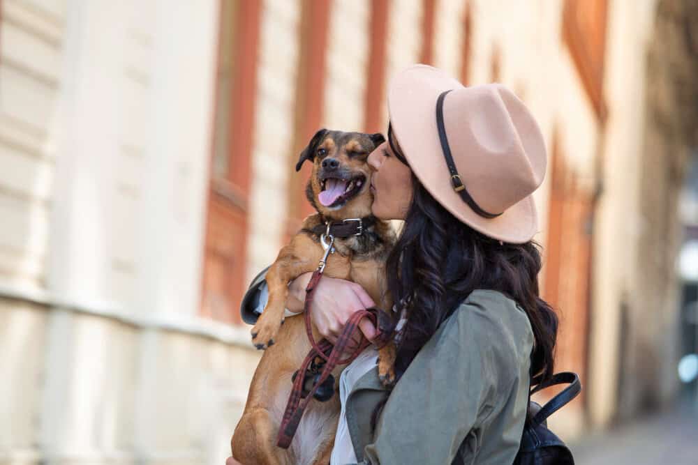 Top 14 Pet-friendly Countries
